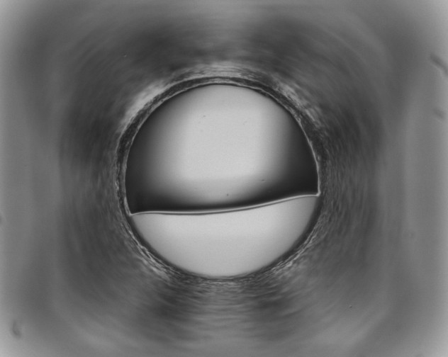 X0000098041312200803281423