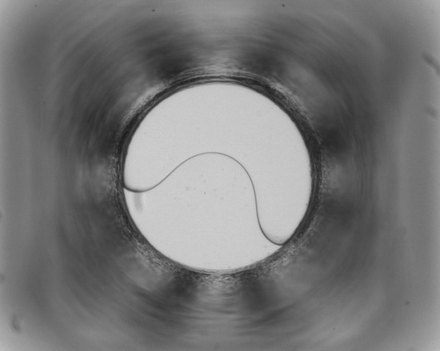 X0000098041314200803281423