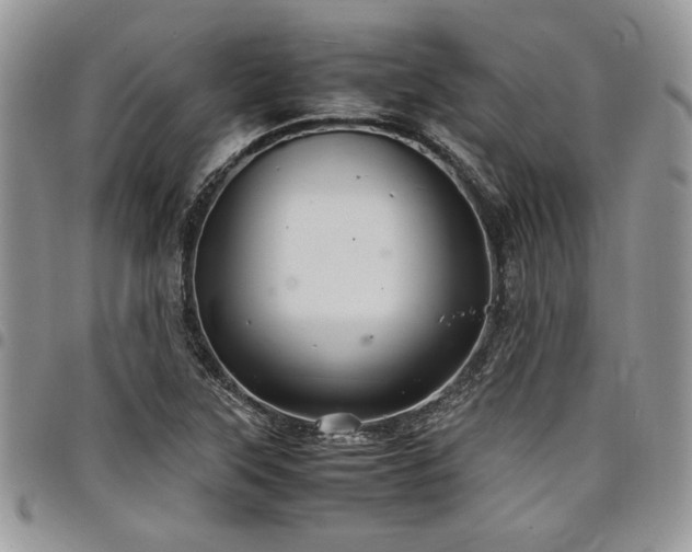 X0000098041315200803281423