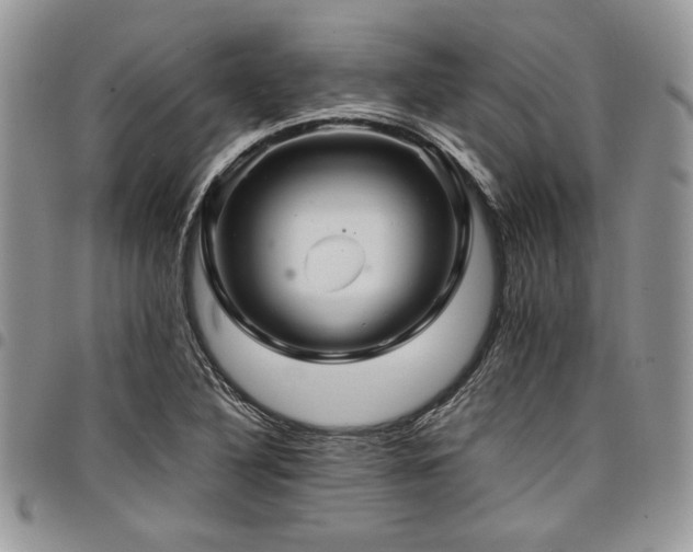 X0000098041316200803281423