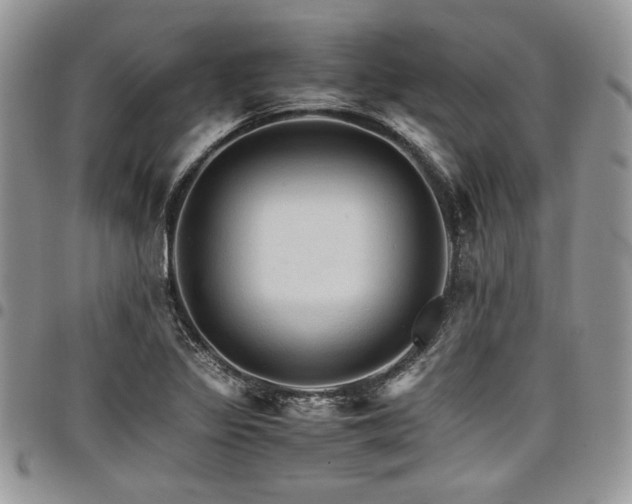 X0000098041317200803281423