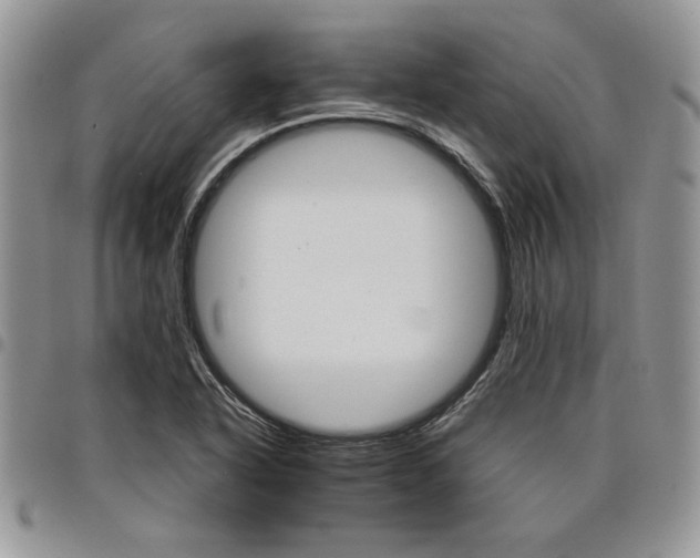 X0000098041318200803281423