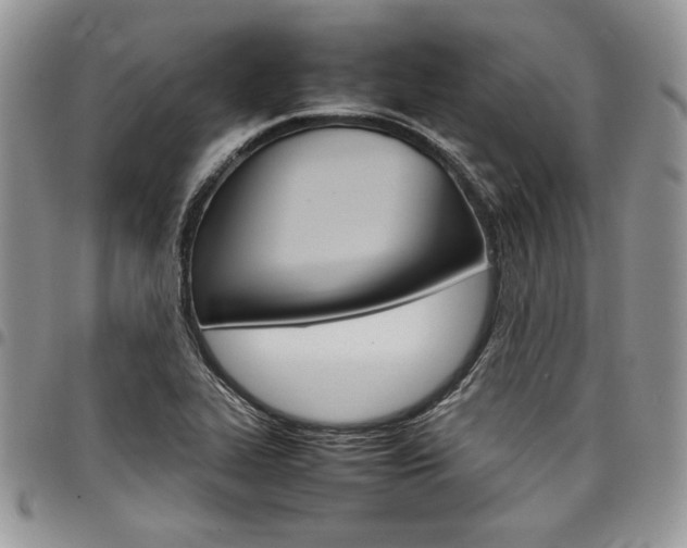 X0000098041319200803281423