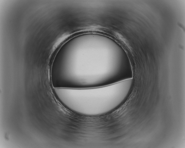 X0000098041320200803281423