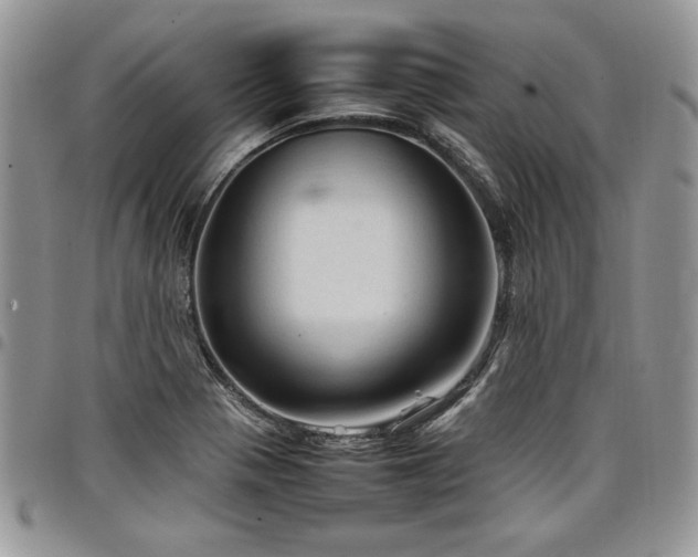 X0000098041321200803281423