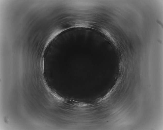 X0000098041323200803281423