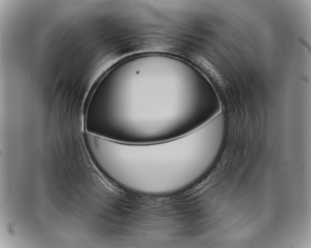 X0000098041324200803281423