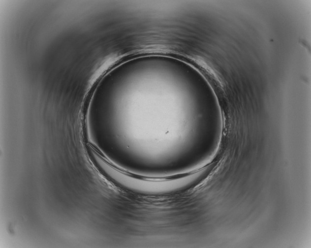 X0000098041325200803281423
