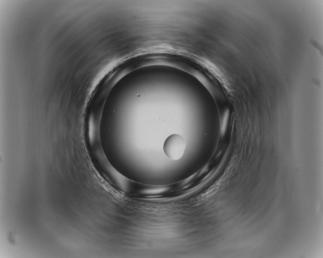 X0000098041326200803281423
