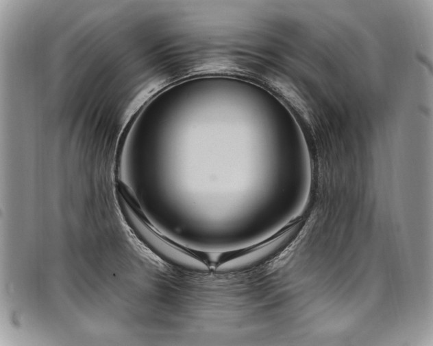 X0000098041330200803281423