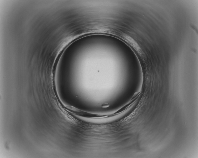 X0000098041332200803281423