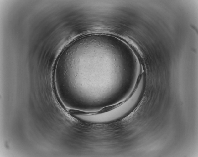 X0000098041333200803281423