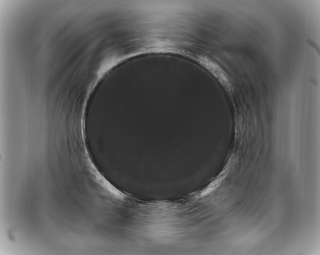 X0000098041334200803281423