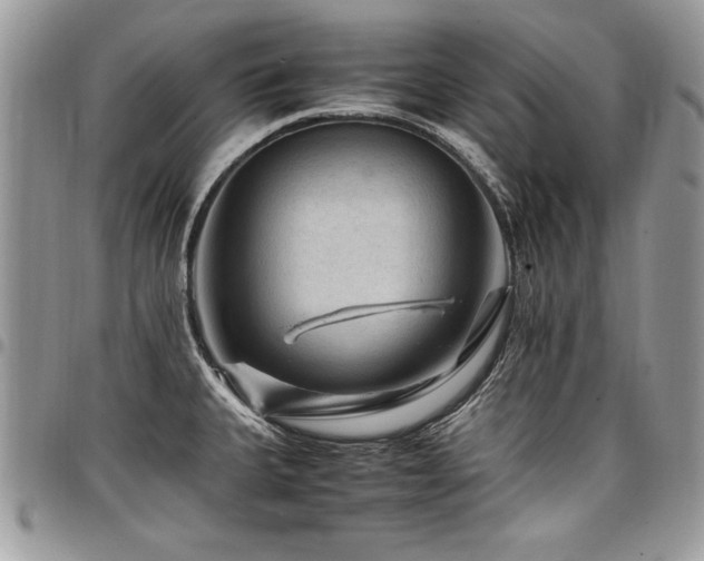 X0000098041335200803281423