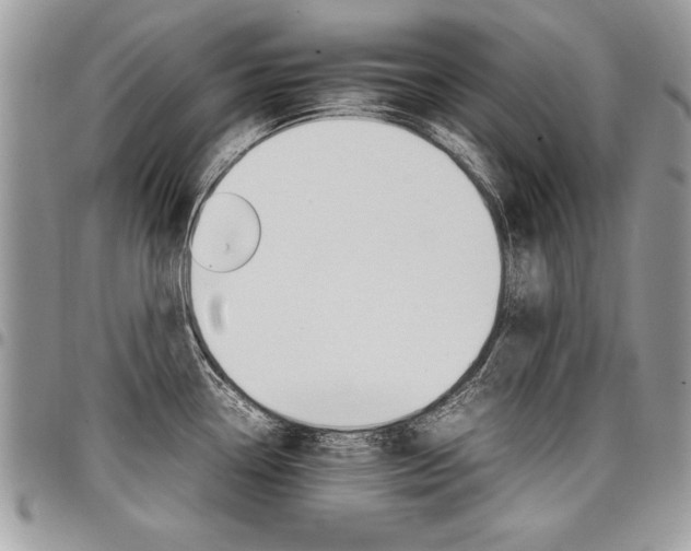 X0000098041338200803281423