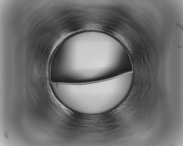 X0000098041339200803281423