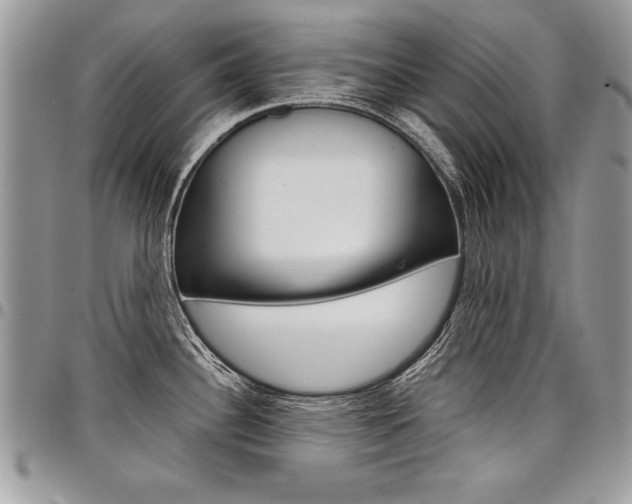 X0000098041340200803281423