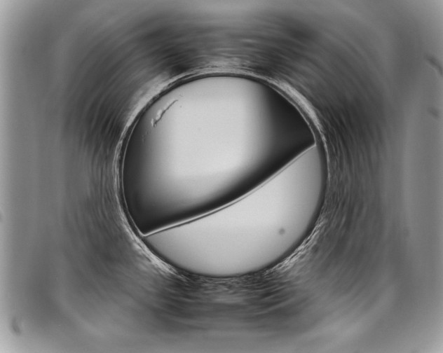 X0000098041341200803281423
