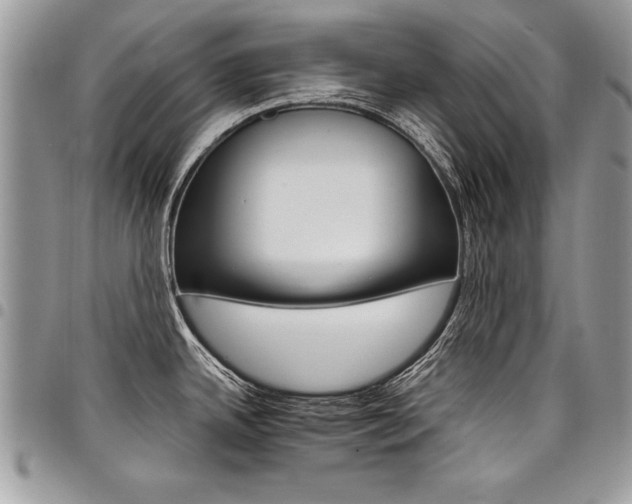 X0000098041342200803281423