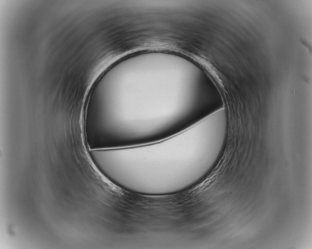X0000098041343200803281423