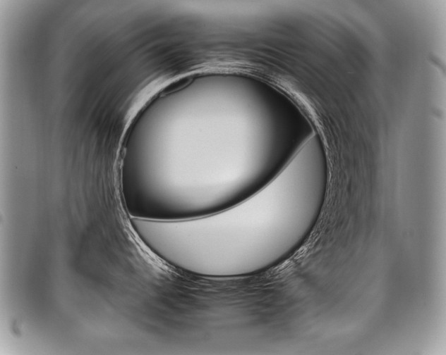 X0000098041344200803281423