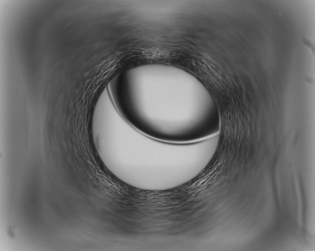 X0000098041345200803281422