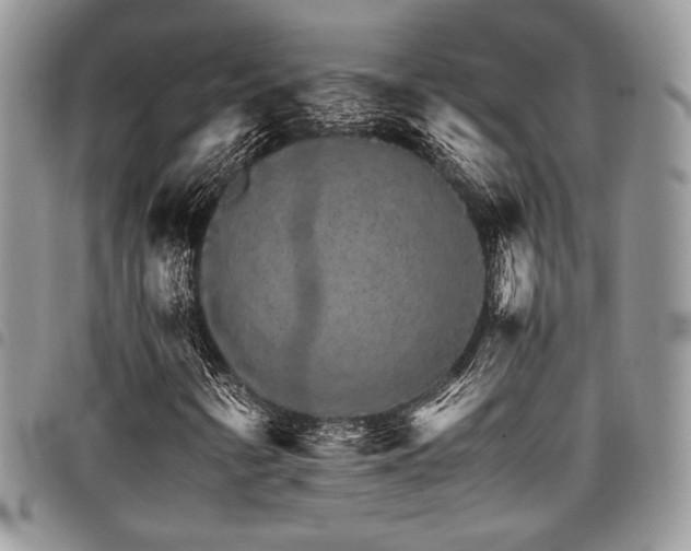 X0000098041346200803281422