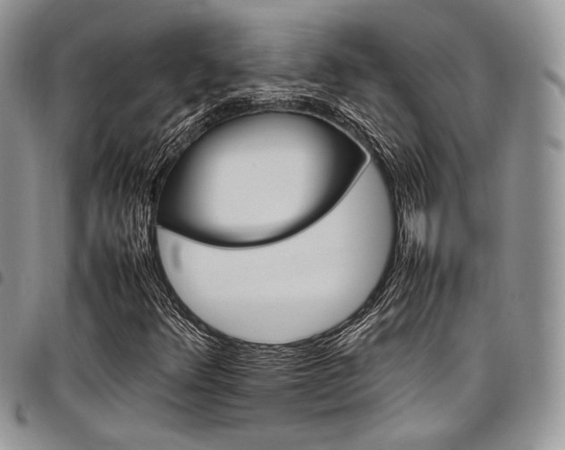 X0000098041348200803281422