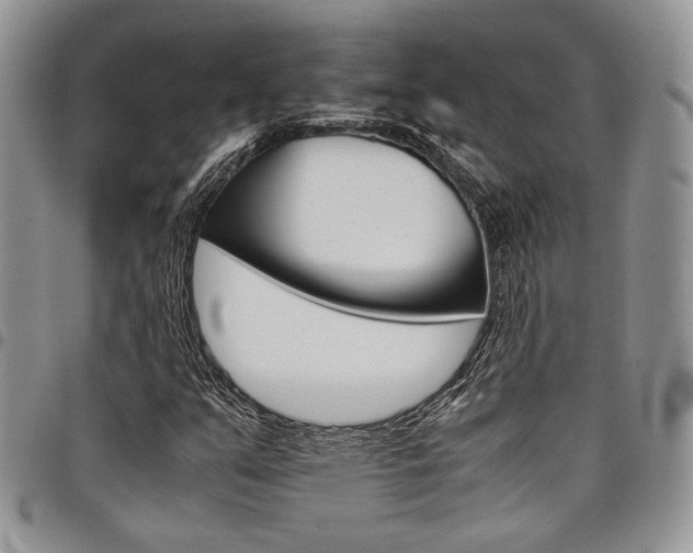 X0000098041351200803281422