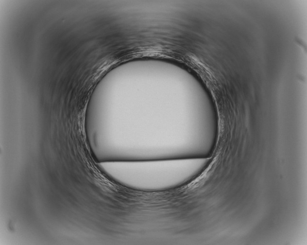 X0000098041353200803281422