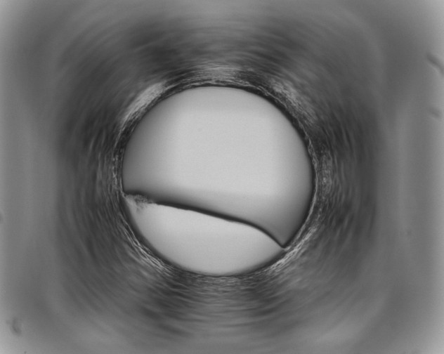 X0000098041354200803281422