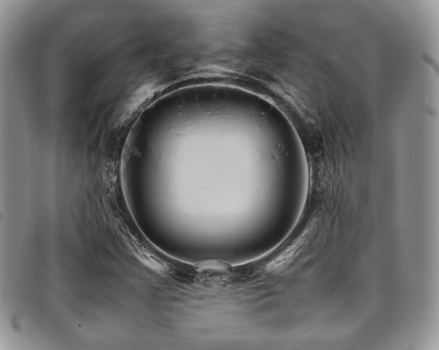 X0000098041355200803281422