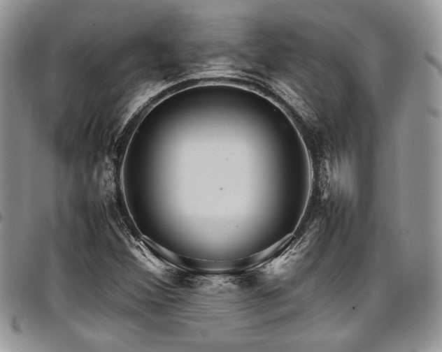 X0000098041356200803281422
