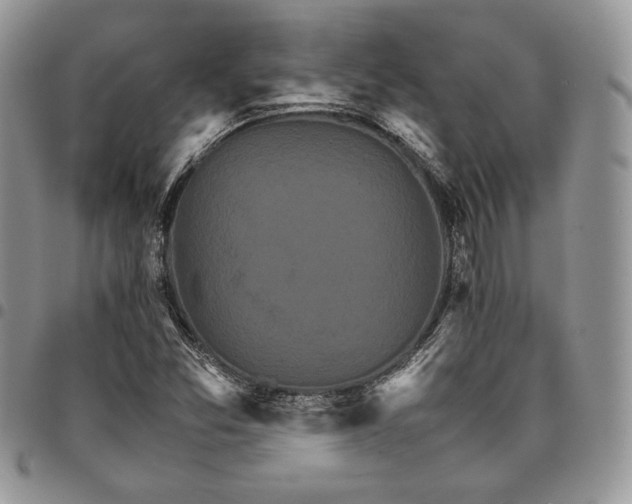 X0000098041357200803281422