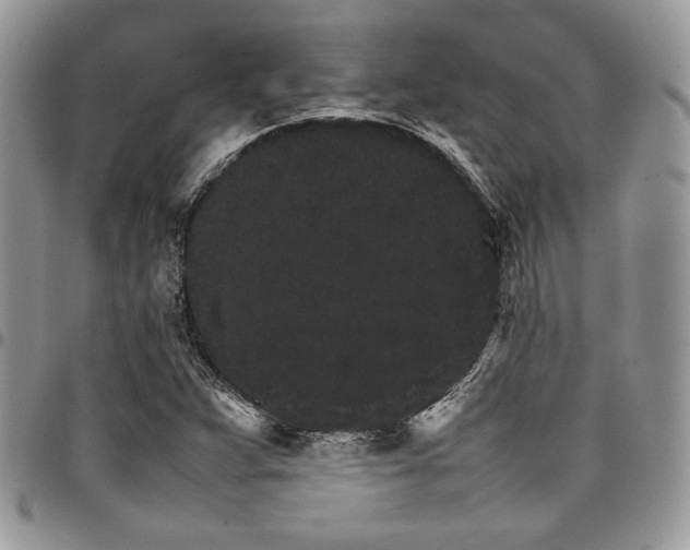 X0000098041359200803281422