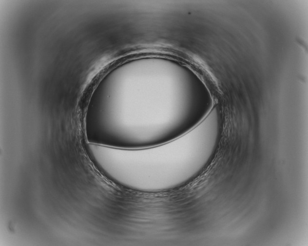 X0000098041360200803281422