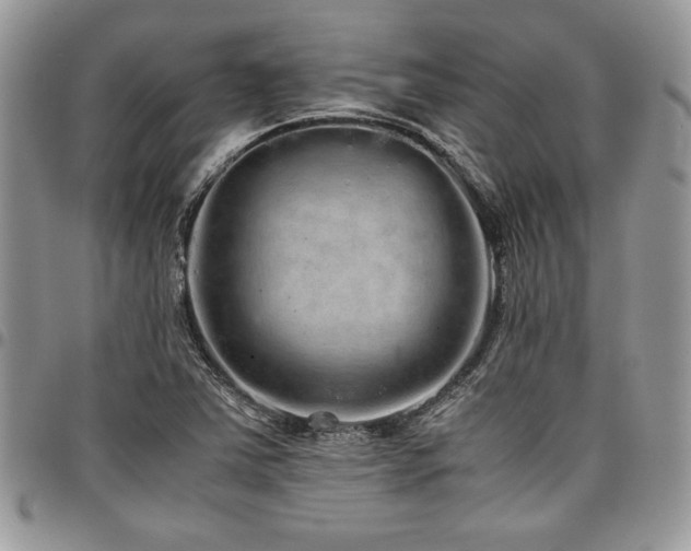 X0000098041363200803281422