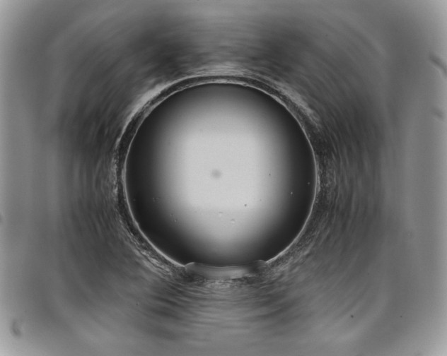 X0000098041364200803281422