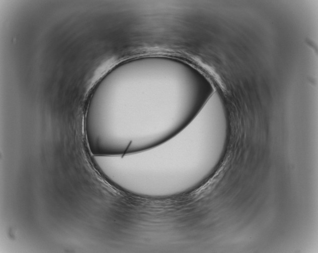 X0000098041365200803281422