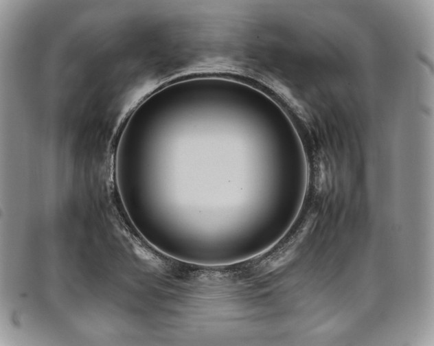 X0000098041366200803281422