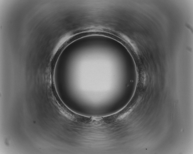 X0000098041368200803281422