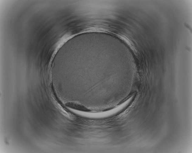 X0000098041371200803281422