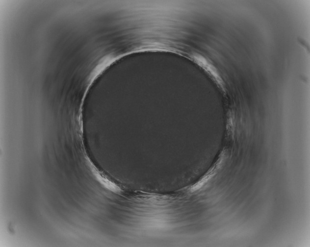 X0000098041372200803281422
