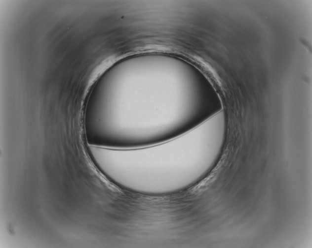 X0000098041373200803281422