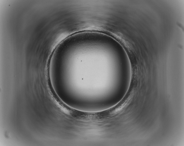 X0000098041375200803281422