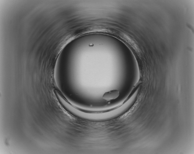X0000098041377200803281422