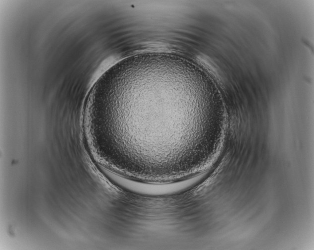 X0000098041378200803281422