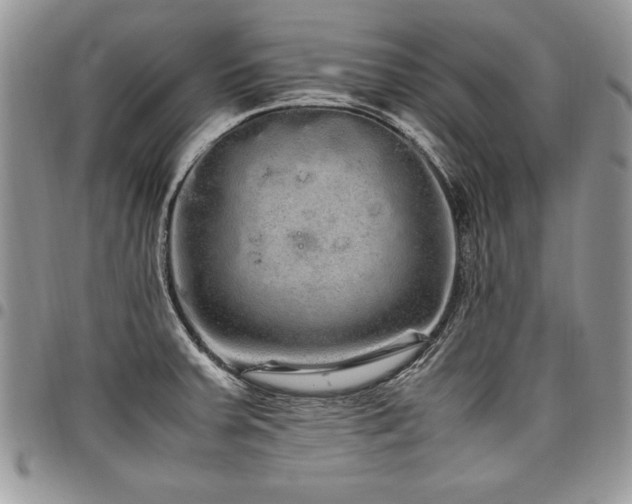 X0000098041379200803281422