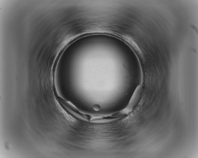X0000098041380200803281422