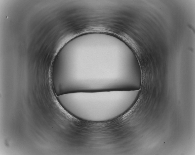 X0000098041382200803281422